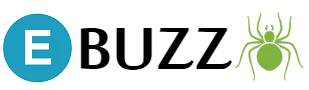 Web Ebuzzspider